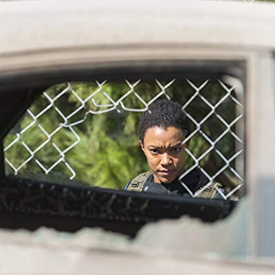 Sasha Williams