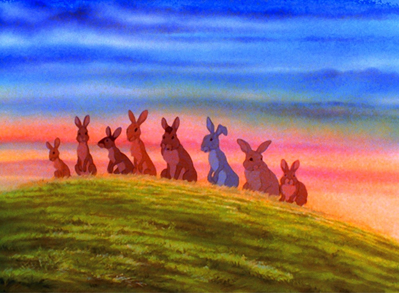 Bigwig
