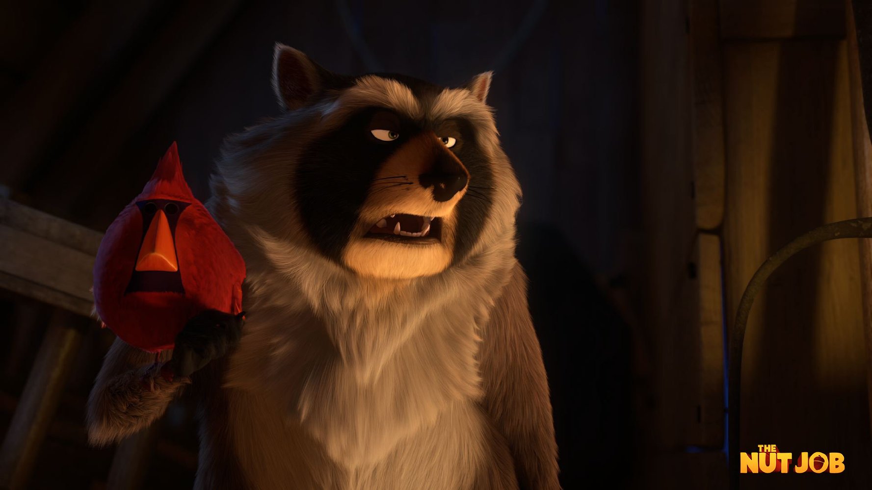 Raccoon