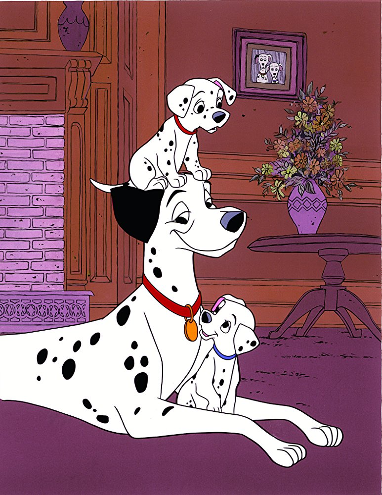 Pongo