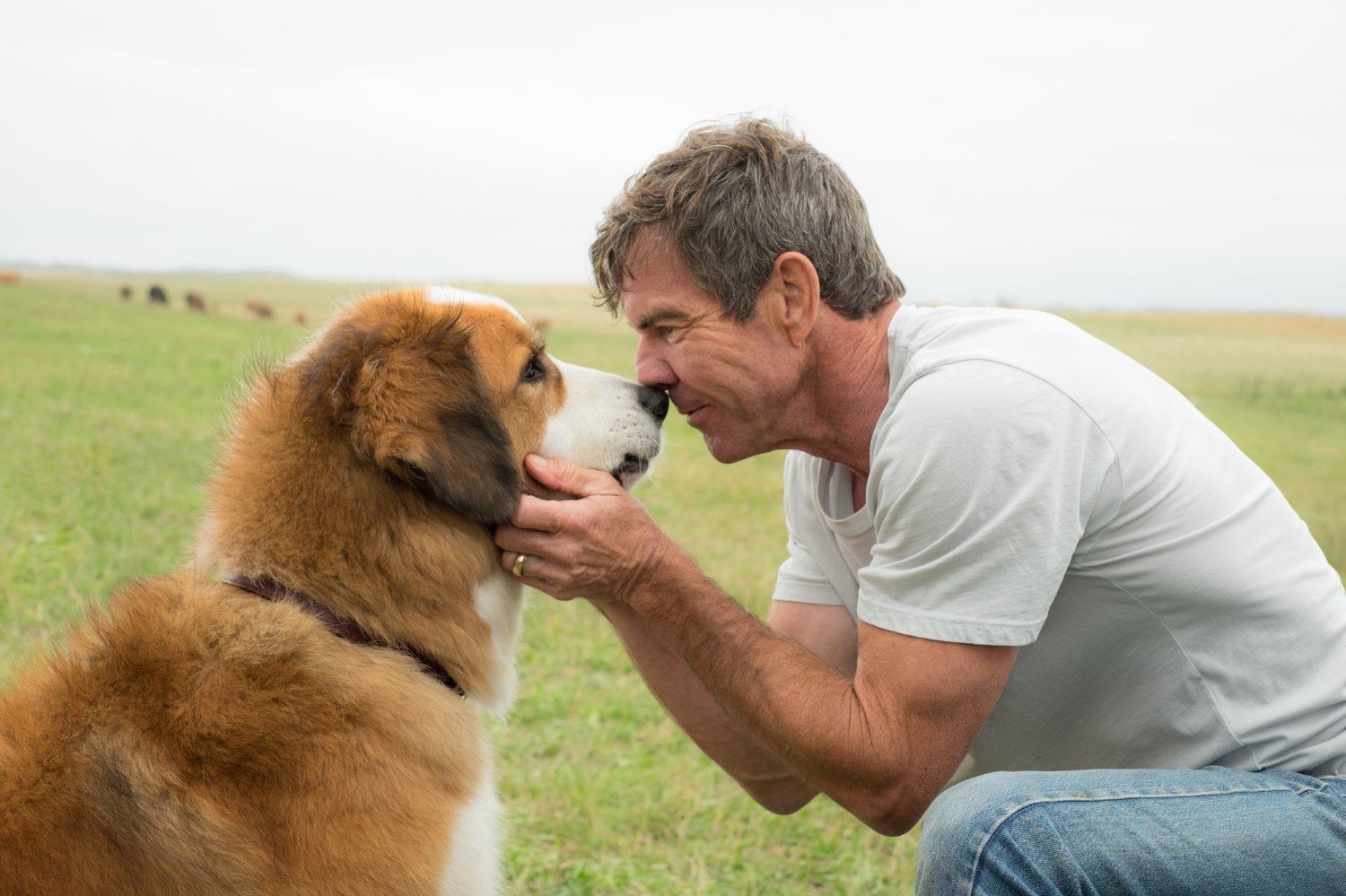Dennis Quaid