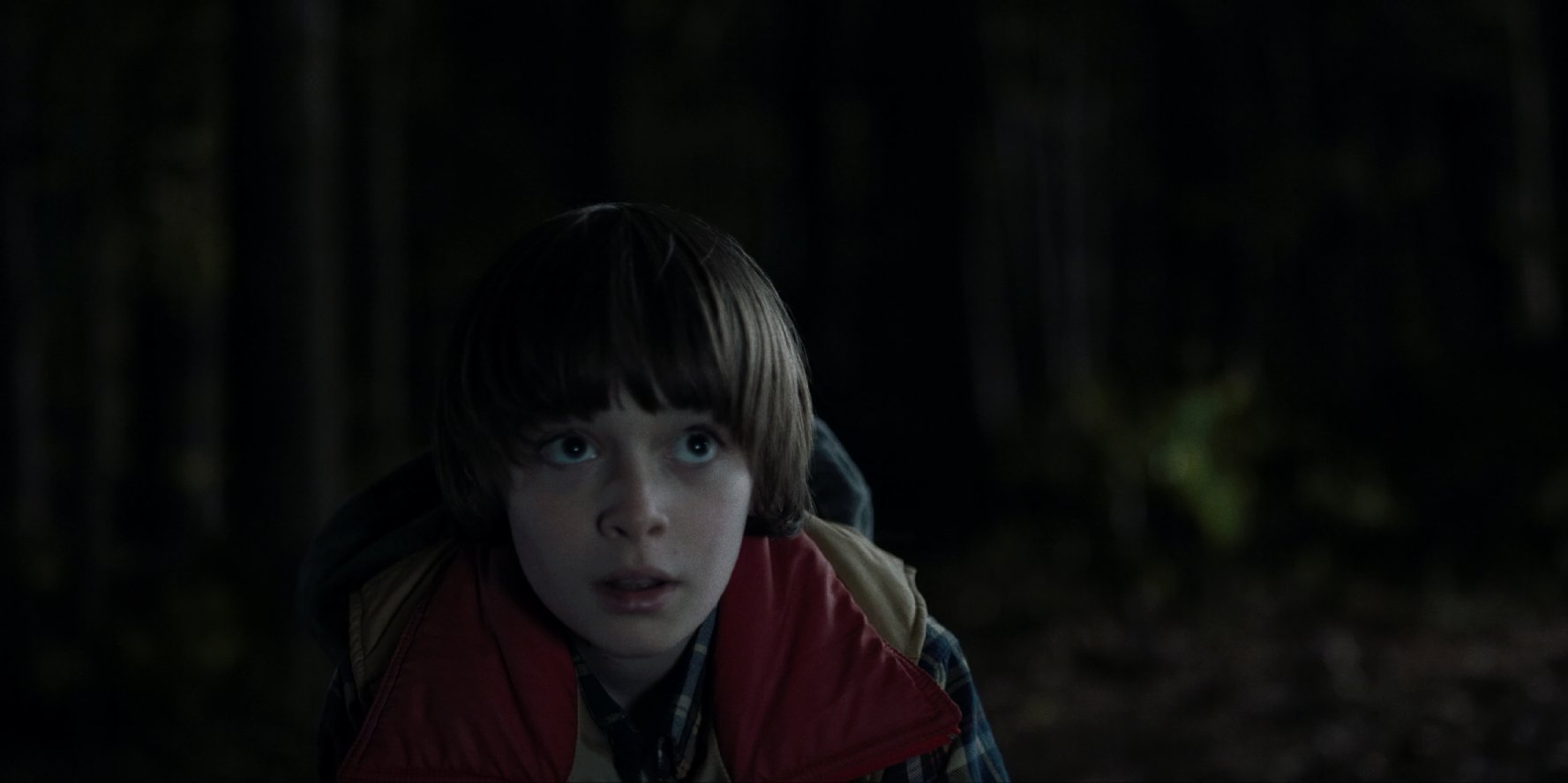 Noah Schnapp
