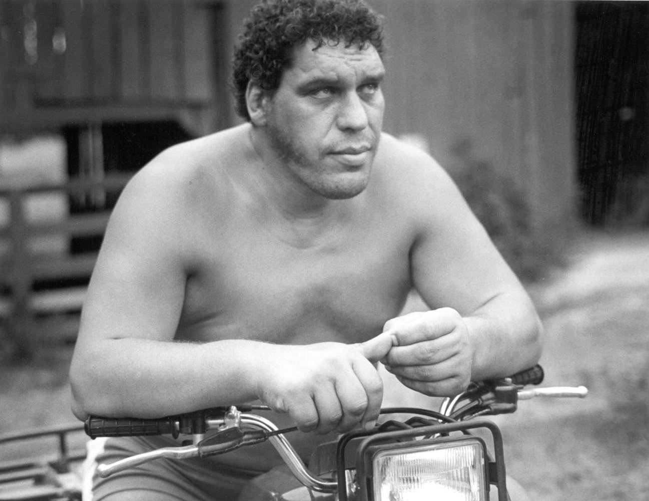 André the Giant