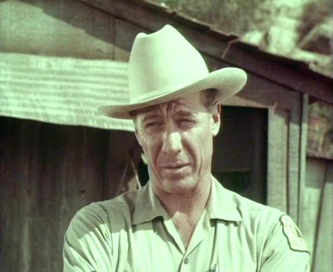 Robert Bray