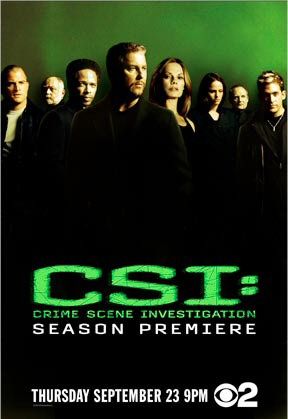 CSI - Season 10