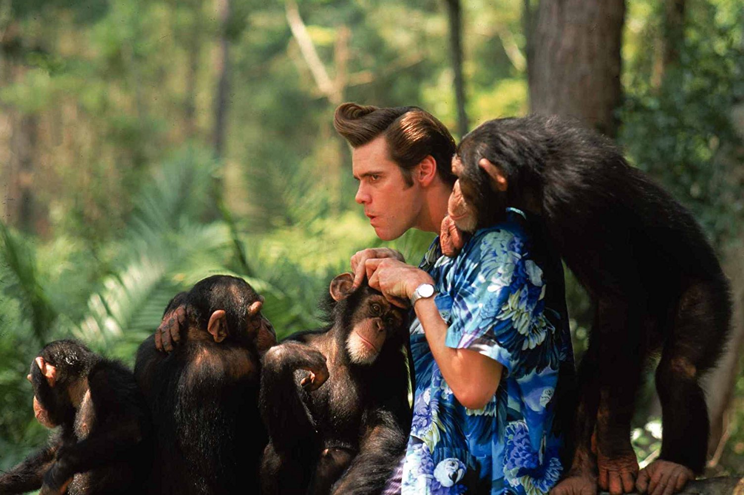 Ace Ventura