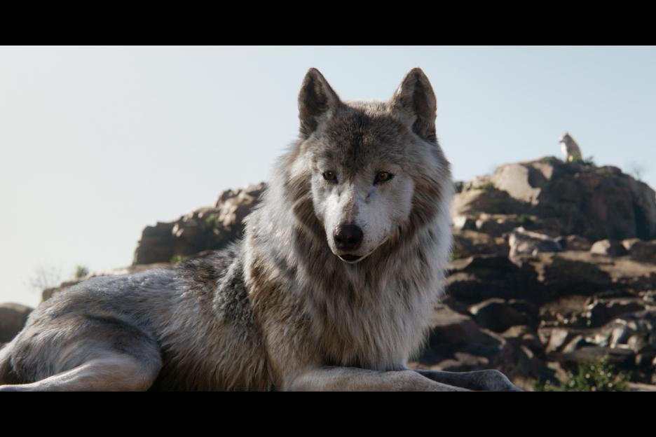 Mother Wolf