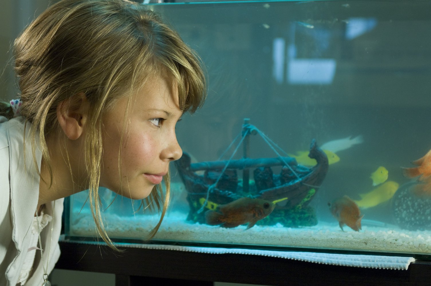 Bindi Irwin