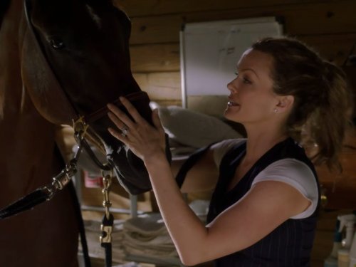 Dina Meyer