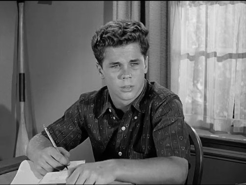 Wally Cleaver