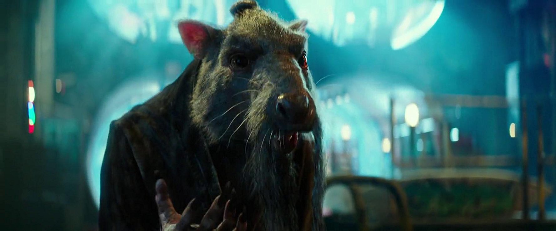 Splinter