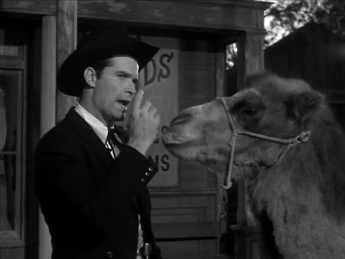 James Garner