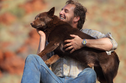 Red Dog
