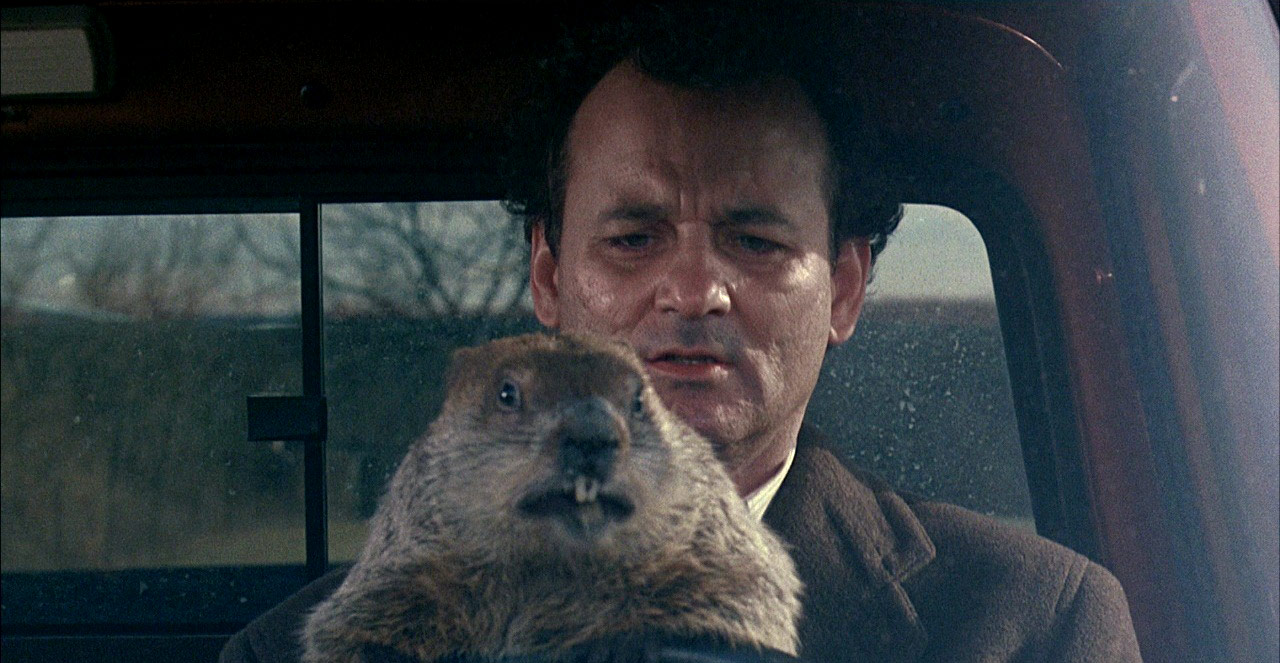 Punxsutawney Phil