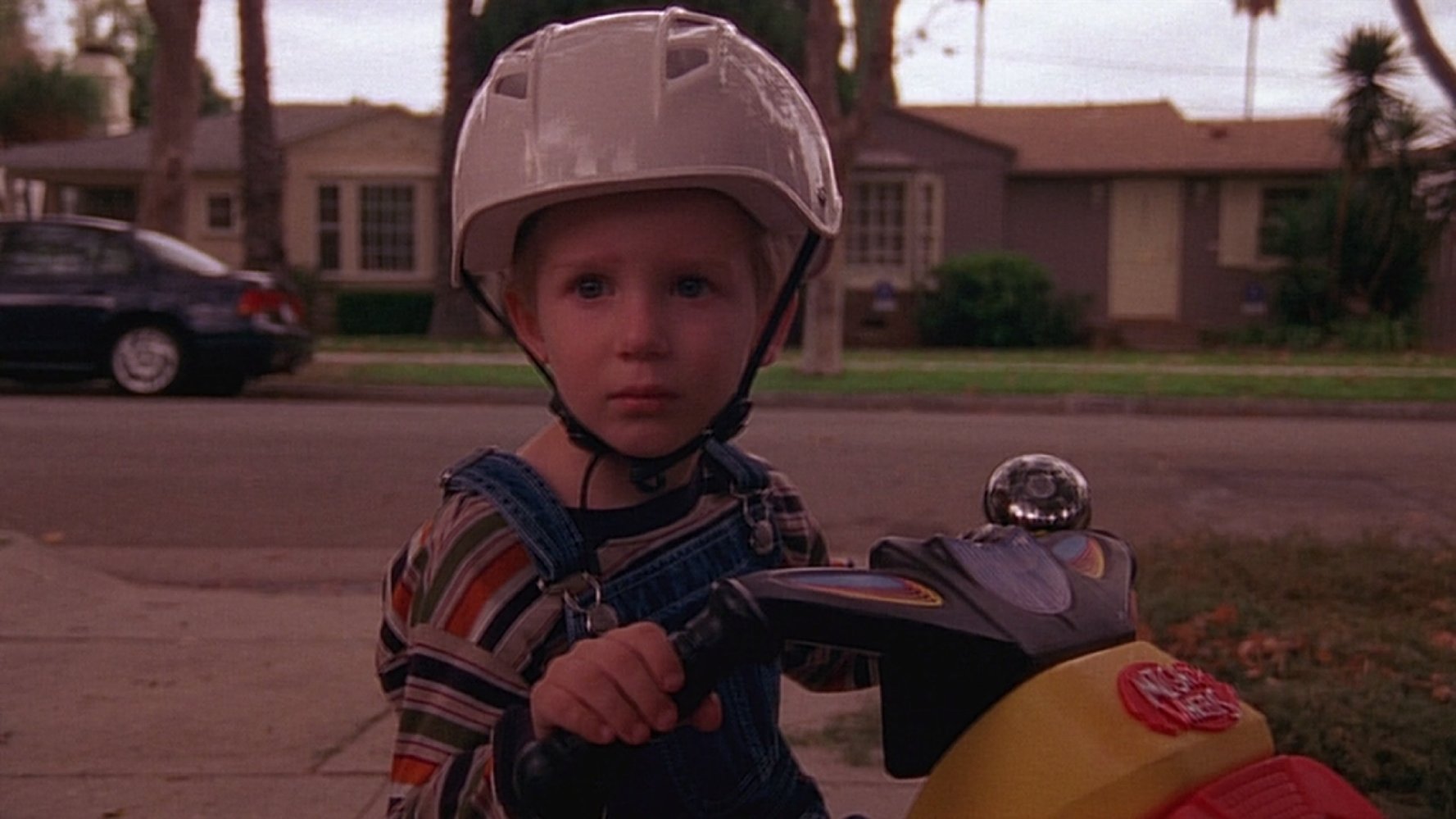Matthew Dunn