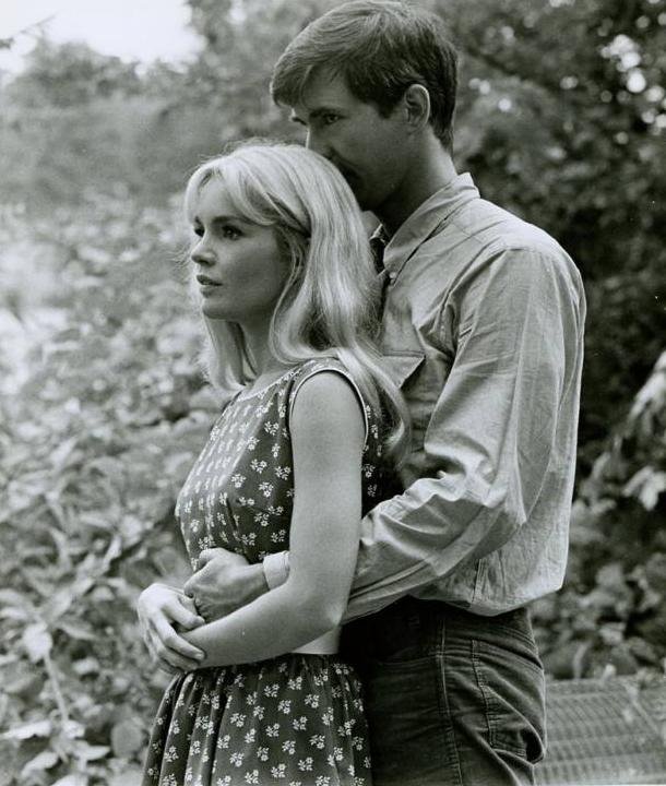 Dennis Pitt