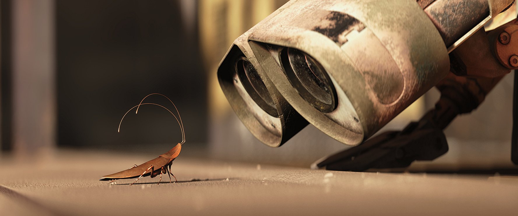 WALL