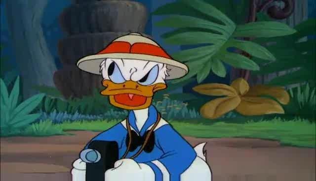 Donald Duck
