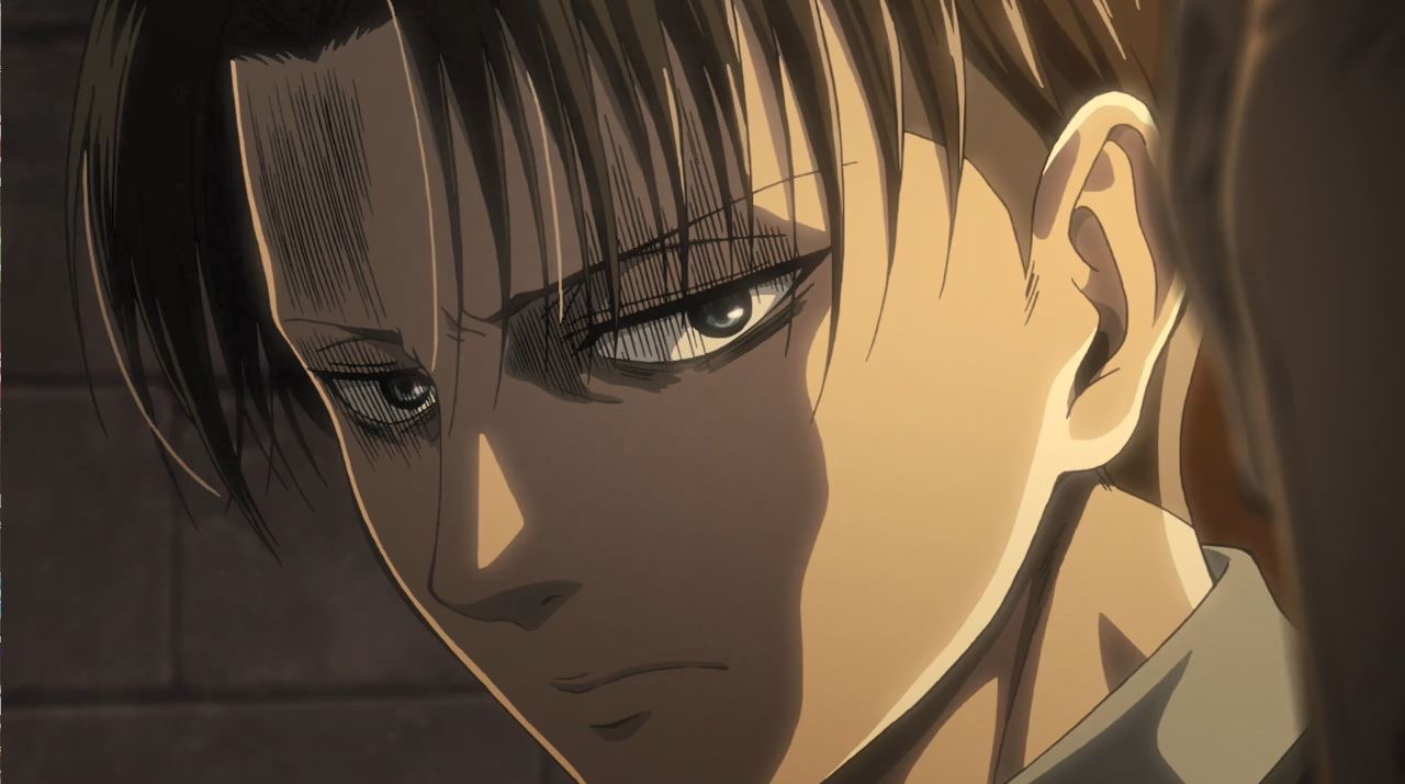 Levi