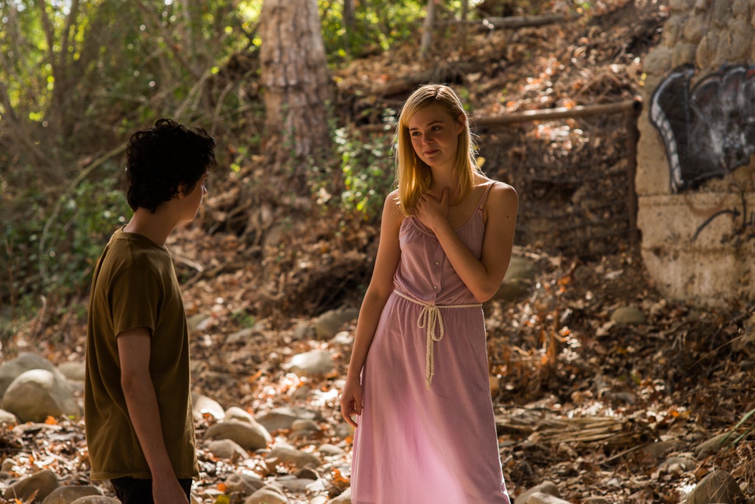 Elle Fanning